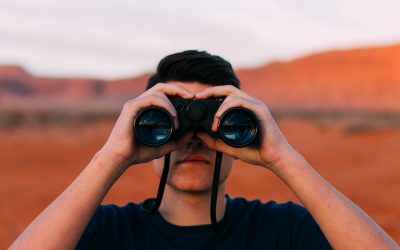 Looking For An Accountant – A Personal Tale