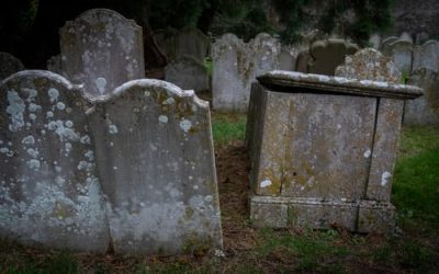 Why Your Sales Opportunity Might Not Actually Be Dead