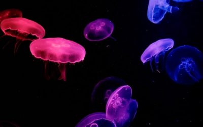 5 Ways to Improve Sales Efficiency